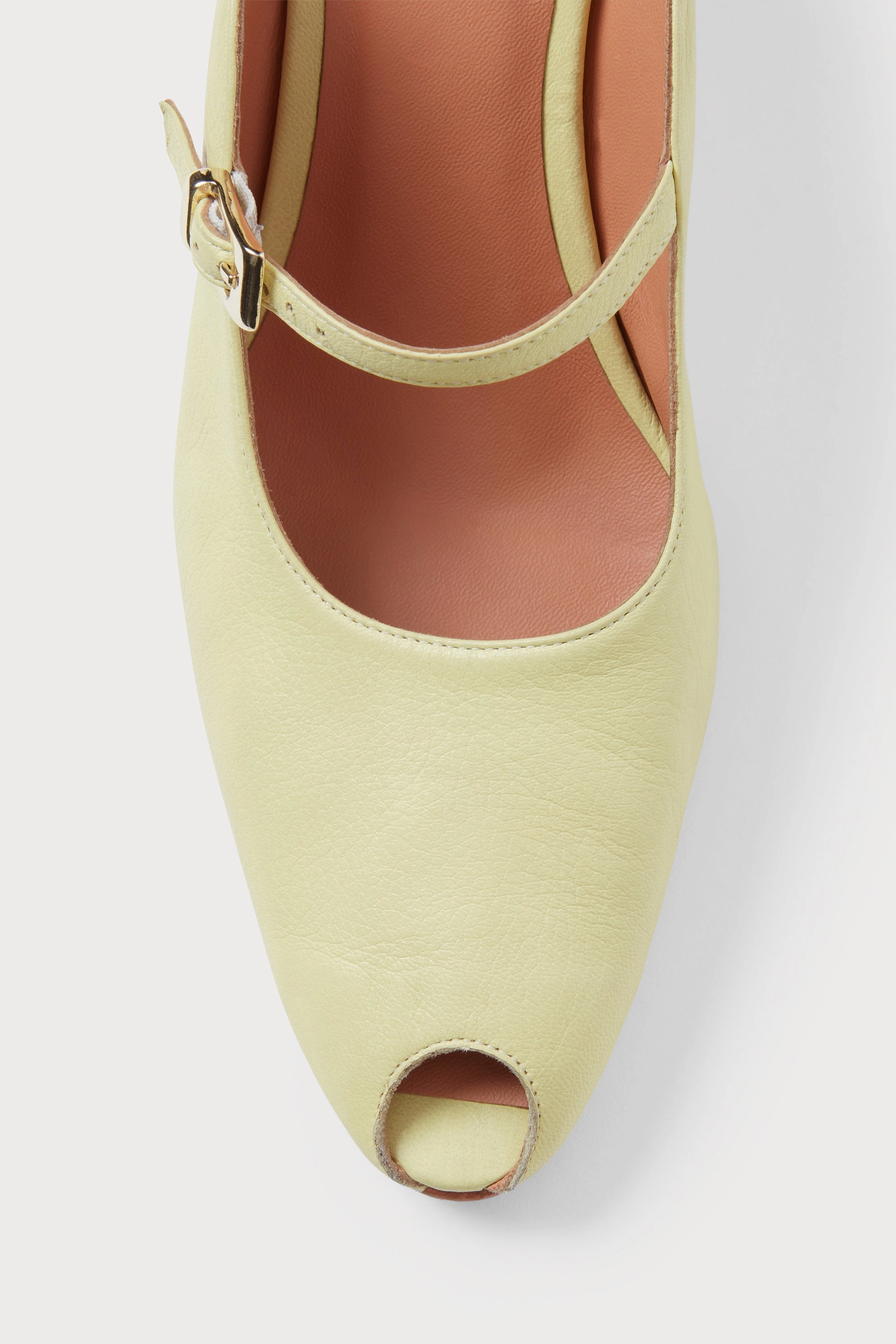 Beamond Mule