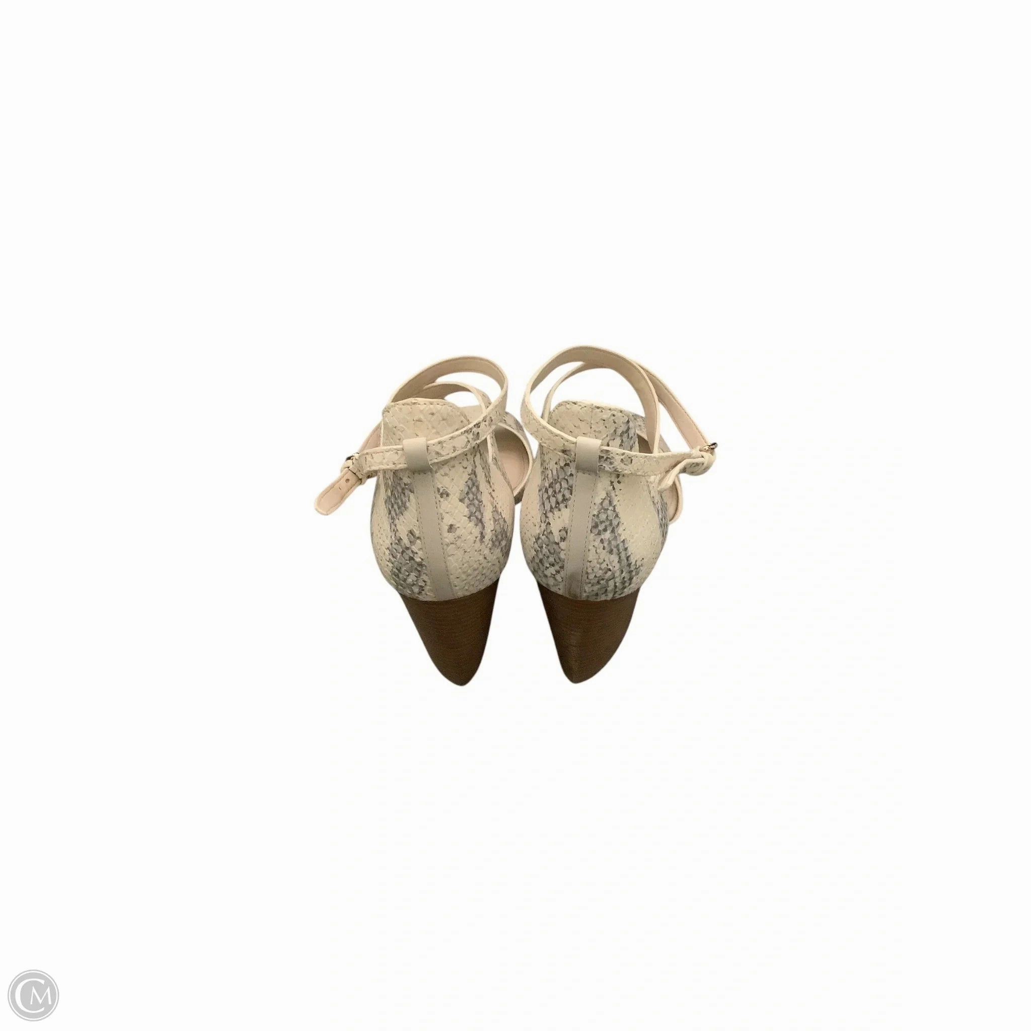 Shoes Heels Wedge By Cole-haan In Snakeskin Print, Size: 9